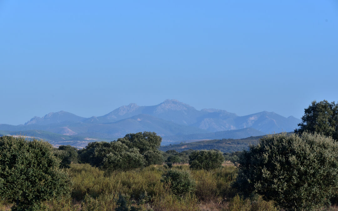 Mirador de Cíjara