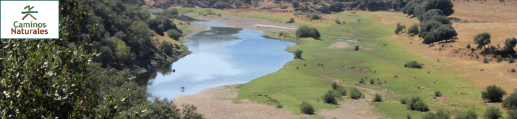 Poblado de Guadisa – Castilblanco