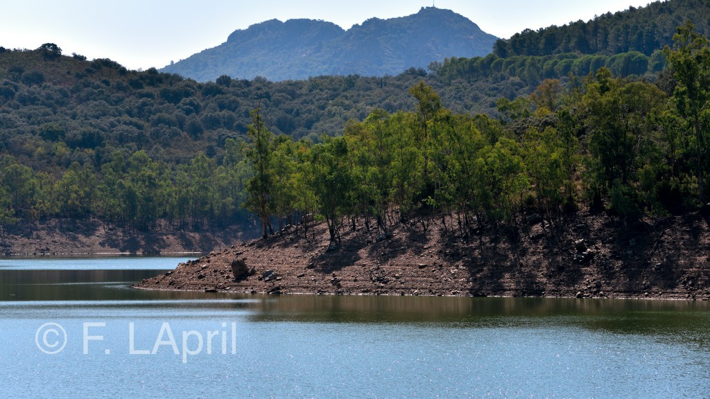Montaña, bosque y embalse - Mountain, forest and lake